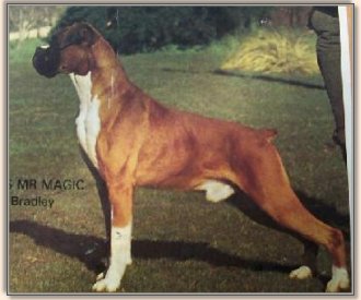mrmagic2.jpg - 21569 Bytes